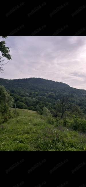 Casa bătrâneasca, teren, livadă pomi fructiferi  - imagine 4