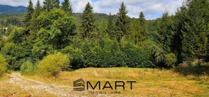 Teren 550 mp Dambul Morii