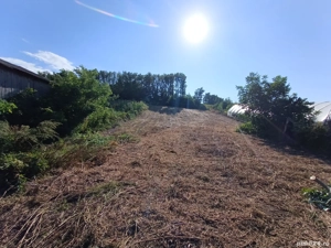 Vand teren intravilan 2400m2 cu fantana+curent electric la 6km de Pascani  - imagine 4