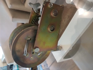 Troliu forestier  - imagine 2