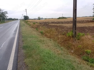 Teren de inchiriat - imagine 4