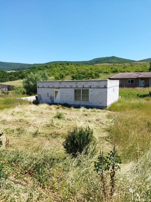 vand sau schimb casa cu curte in Herina, cu apartament in Bistrita