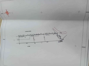 Vand Teren intravilan in Valea Calugareasca - vie pe rod - imagine 3