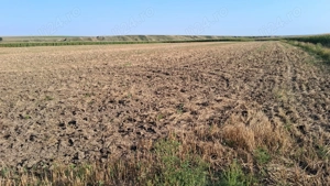  MCD Expert Imobiliare   Vânzare teren agricol, Zona Izvoare  - imagine 2