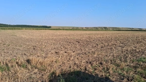  MCD Expert Imobiliare   Vânzare teren agricol, Zona Izvoare 