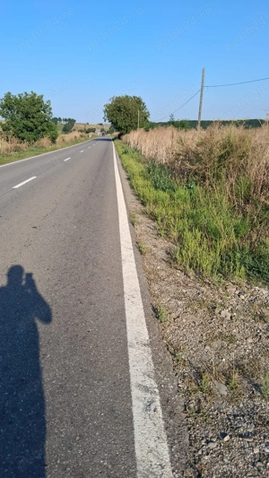  MCD Expert Imobiliare   Vânzare teren agricol, Zona Izvoare  - imagine 5