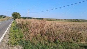  MCD Expert Imobiliare   Vânzare teren agricol, Zona Izvoare  - imagine 4