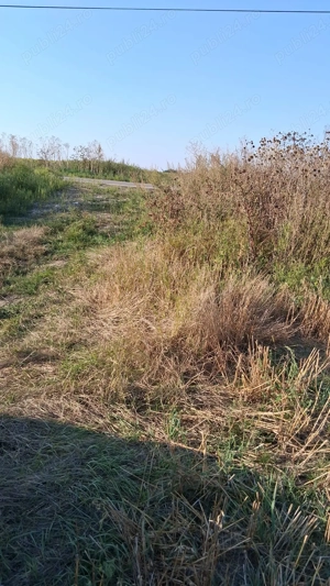  MCD Expert Imobiliare   Vânzare teren agricol, Zona Izvoare  - imagine 3