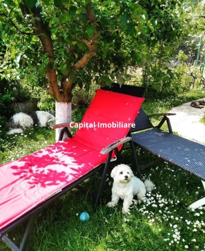 House for sale, 5 Rooms, 180 sqm, Valea Dejani - imagine 11