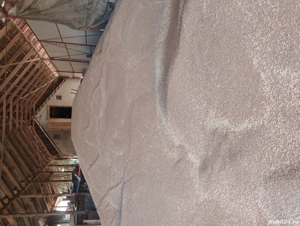 grau de vanzare 2025 - imagine 2