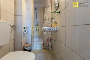 Vila Pensiune D+P+E+M cu multiple functionalitati: locuit, HoReCa, turism, camin de batrani, Dumbrav - imagine 14