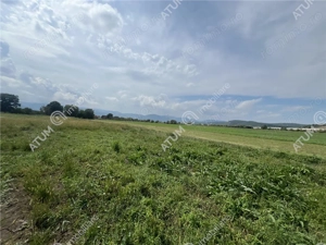 Teren intravilan de 8600 mp cu deschidere la doua drumuri in Cristian - imagine 4