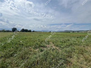 Teren intravilan de 8600 mp cu deschidere la doua drumuri in Cristian - imagine 2