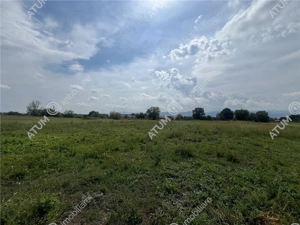 Teren intravilan de 8600 mp cu deschidere la doua drumuri in Cristian - imagine 5