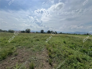 Teren intravilan de 8600 mp cu deschidere la doua drumuri in Cristian - imagine 3