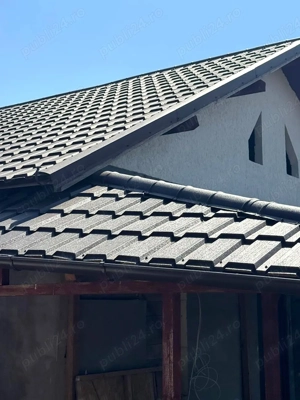 64.000 Euro casa+teren (in concesiune) 804 mp in com Branistea