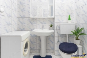 Camin cochet, chiar in inima orasului, etaj 1, perfect pentru locuit sau investitie - imagine 7