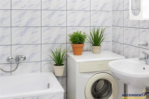 Camin cochet, chiar in inima orasului, etaj 1, perfect pentru locuit sau investitie - imagine 14