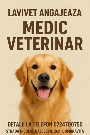 Angajez medic veterinar pentru cabinet în loc.Dumbravita, jud.Timis. Informații la tel: