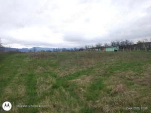 Lapusel ! Loc splendid de casa zona case noi, toate utilitatile - imagine 5