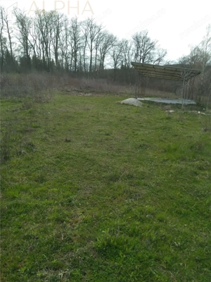 Teren extravilan de vanzare – Str. Ghinzii, Bistrita, BN - imagine 3