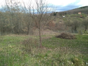 Teren extravilan de vanzare – Str. Ghinzii, Bistrita, BN - imagine 4