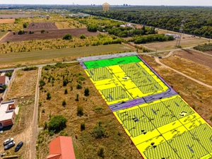 Parcele case cu vedere spre pădure – între Timișoara si Giarmata Vii - imagine 3