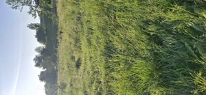 Vând Teren aprox 6 ari str Terasei zonă  frumoasă