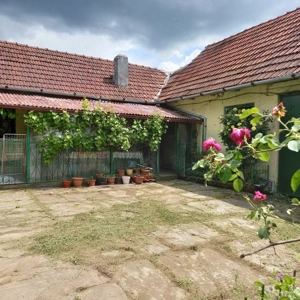 Casa de vânzare Petriș 