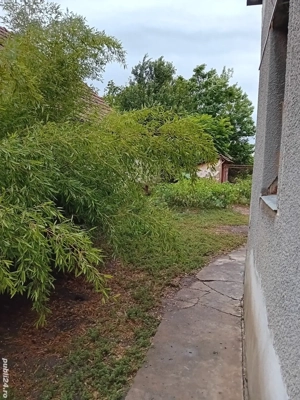 Casa de vinzare la Dorobanti, jud Arad - imagine 2