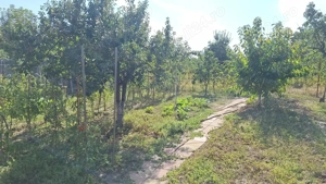 Casa de vanzare in Buftea, 5 camere - imagine 2