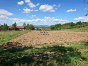 Teren intravilan pentru casa sau vacanta, Lunca, Baia de Cris - imagine 3