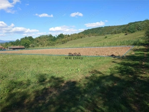 Teren intravilan pentru casa sau vacanta, Lunca, Baia de Cris