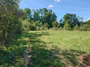 Teren intravilan pentru casa sau vacanta, Lunca, Baia de Cris - imagine 4