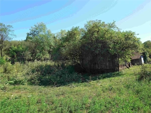 Teren intravilan cu potential, casa si anexe in Lunca - imagine 17