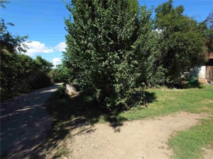 Teren intravilan cu potential, casa si anexe in Lunca - imagine 13