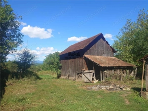 Teren intravilan cu potential, casa si anexe in Lunca - imagine 10