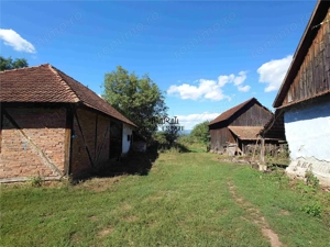 Teren intravilan cu potential, casa si anexe in Lunca - imagine 8