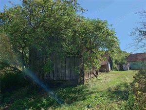 Teren intravilan cu potential, casa si anexe in Lunca - imagine 18