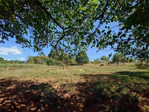 Teren intravilan cu potential, casa si anexe in Lunca - imagine 12