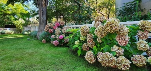 BIJUTERIE ISTORICĂ  SI RAR DE VANZARE in zona ARMENEASCA - imagine 3