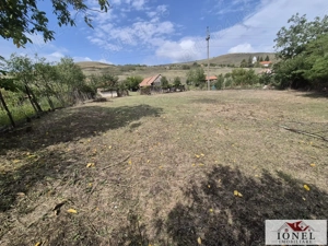 Vanzare casa in Henig 1700 mp teren  - imagine 11