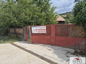 Vanzare casa in Henig 1700 mp teren  - imagine 13