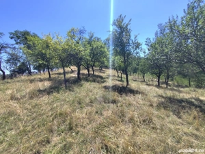 Vând teren extravilan - imagine 6