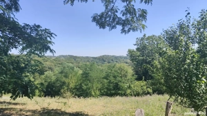 Vând teren extravilan - imagine 4