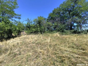 Vând teren extravilan - imagine 8