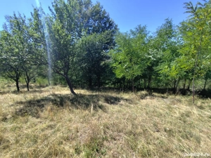 Vând teren extravilan - imagine 7