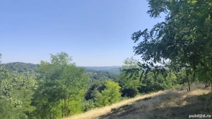Vând teren extravilan - imagine 2
