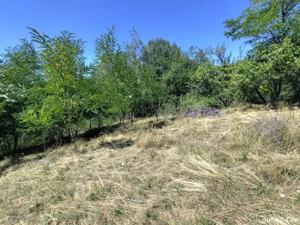 Vând teren extravilan - imagine 5