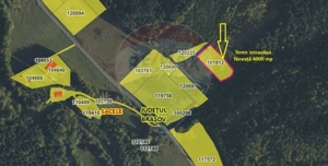 Teren intravilan, 4003 mp, Săcele - Babarunca - imagine 4